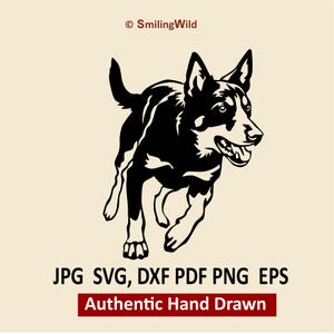 Australian Kelpie Herding SVG PNG DXF – Digitale hondenclipart voor lasersnijden en vectorprojecten