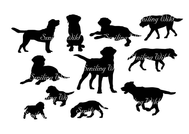 Download Labrador Retriever silhouette svg dog clipart labrador ...