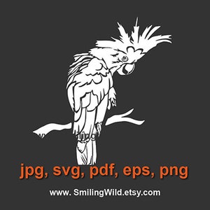 Kaketoe svg clipart wit afdrukken op zwarte vogel vector grafische kunst papegaai svg kaketoe gesneden bestand cricut digitaal ontwerp artwork