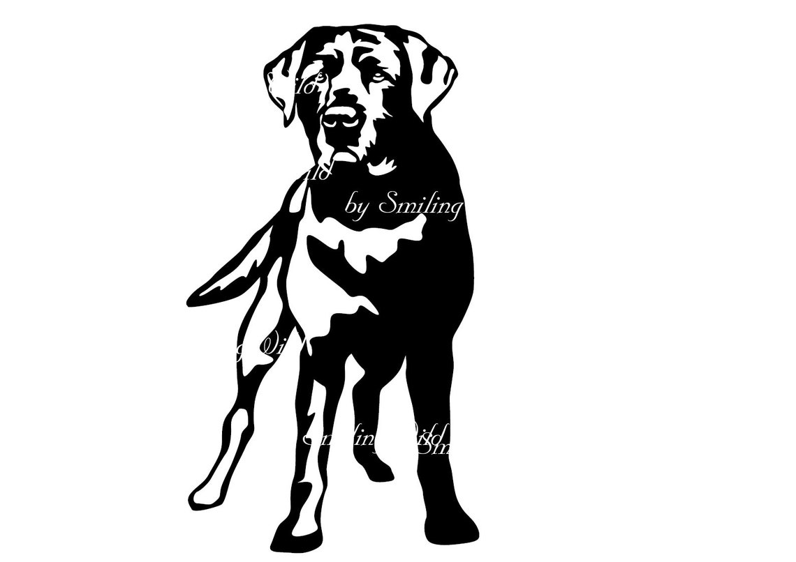 Lab svg dog clipart black labrador retriever vector graphic | Etsy