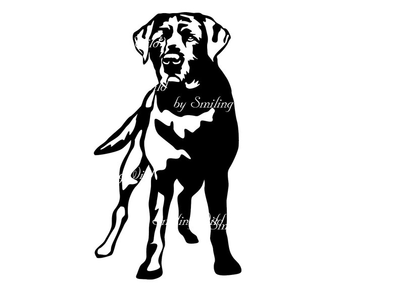 Download Lab svg dog clipart black labrador retriever vector ...