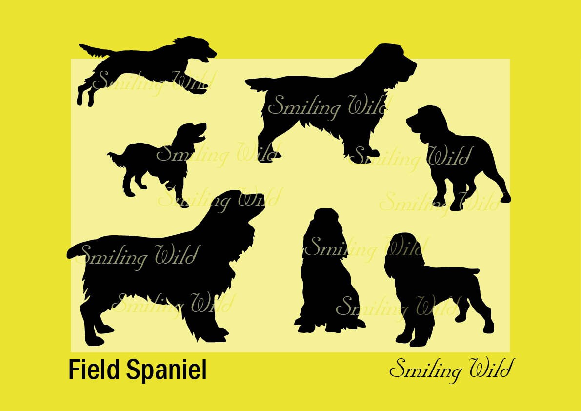 What Is A Field Cut For A Dog