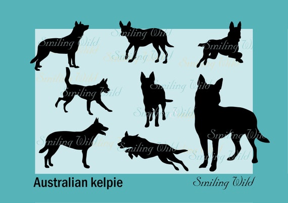 Australian Kelpie Svg Silhouette Black Dog Clipart Australian Etsy
