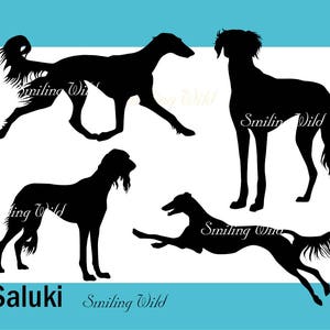 Silhueta de cachorro Saluki svg clipart arquivo de corte Greyhound para impressão uso comercial recorte download digital silhueta de cachorro correndo arte vetorial