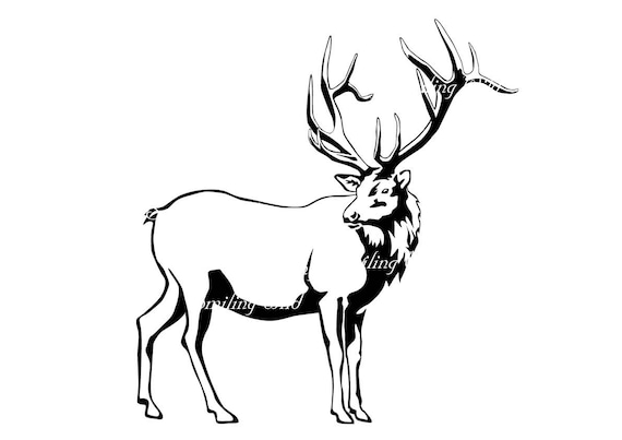 Elk Wapiti svg deer clipart vector graphic art artwork elk stag svg cut file cuttable digital design white print on black
