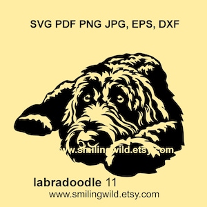 Clipart di Labradoodle nero australiano in formato SVG, PNG e DXF - Cane realistico per la progettazione del logo - Grafica vettoriale canina, fai da te, Cricut, taglio laser