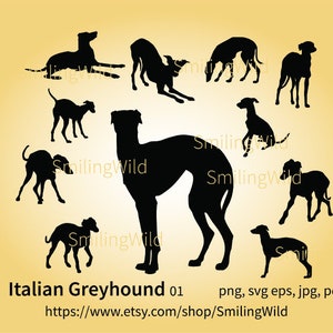 Lot SVG lévrier italien | Silhouette de chien réaliste découpée et art imprimable, conception graphique vectorielle pour Cricut et découpe laser