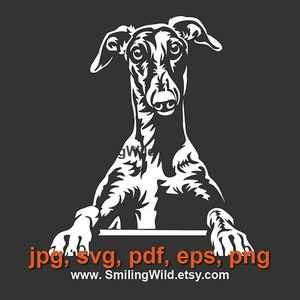 Ritratto di levriero in formato svg grafica vettoriale, sbirciando il file di taglio della testa del levriero inglese, design del cane da caccia che mostra le zampe