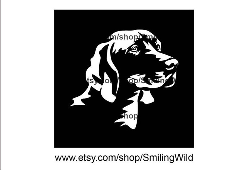 Vizsla Dog Breed Svg Clipart Vector Graphic Art Vizsla White - Etsy