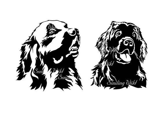 Newfoundland Svg Clipart Dog Design Art Printable Newfoundland Etsy Canada
