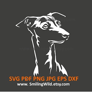 Levriero italiano SVG, PNG, DXF – Cane realistico Bianco canino vettore clipart - Progetti di taglio laser e Cricut - Download immediato