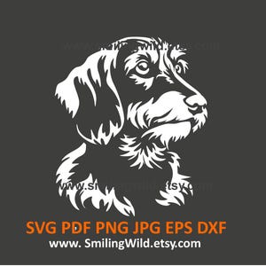 Drahthaar Dackel SVG PNG DXF Kopf Gesicht Vektor, Realistisch Süßer Saushund Weiß Clipart Logo Grafik, Basteln, Cricut, Laserschnitt