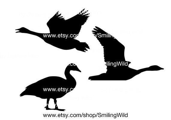 Canada Goose Svg Silhouette Clipart Vector Graphic Art Wild Bird