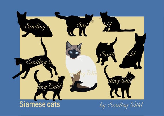 Featured image of post Siamese Cat Silhouette Svg The pngs are approximately 10 inches at it s widest point