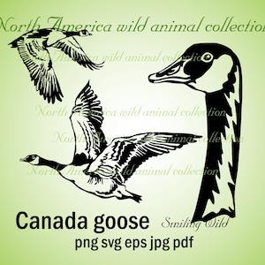 Canada goose svg clipart vector graphic art artwork canada goose geese bird cut file cuttable digital design