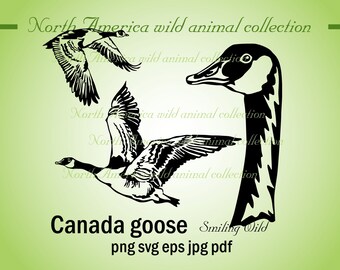 canada goose quote pdf