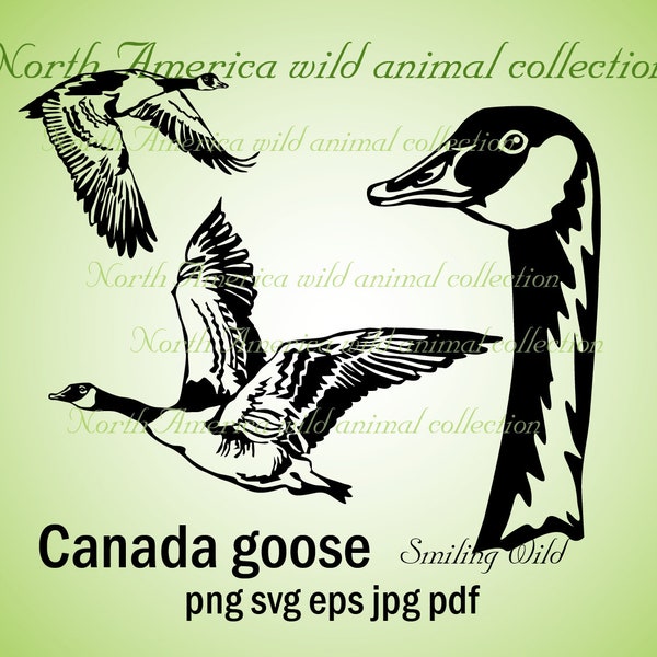 Canada goose svg clipart vector graphic art artwork canada goose geese bird cut file cuttable digital design