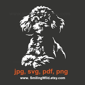 Toy Poodle svg portret - hond witte vector grafische clipart - hond Cricut en lasersnijdbaar vectorbestand
