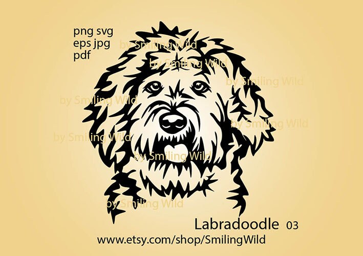 labradoodle shop