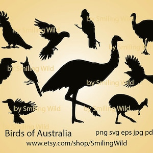 Australia birds, animal SVG & PNG silhouette bundle - Emu vector Cassowary - bulbul cocaburra cricut galah cut file cuttable graphic art