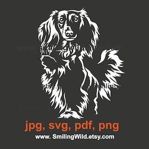 Langharige teckel svg witte vector grafisch bestand schattige hond clipart gesneden bestand afdrukken op zwarte Graveerbare cricut teckel ontwerp kunst