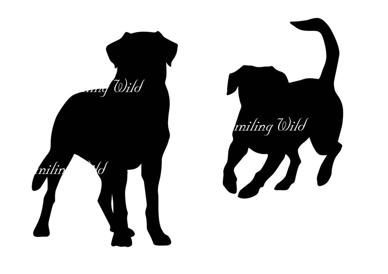 Free Free 65 Mountain Dog Svg SVG PNG EPS DXF File