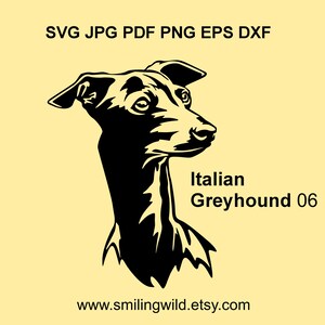 Levriero italiano SVG e PNG, DXF – Cane da caccia realistico clipart canino Grafica vettoriale per Cricut, Silhouette, Taglio laser