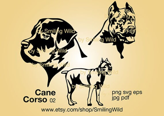 Cane Corso Svg Dog Cut File For Cricut Cuttable Cane Corso Portrait Head Vector Graphic Art Artwork Digital Design Printable
