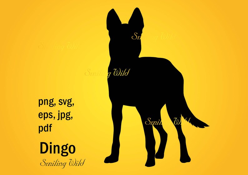 Download Dingo silhouette australia animal svg png wild animal vector | Etsy