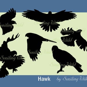Havik silhouet svg clipart Amerikaanse havik knipsel afdrukbare vogel falk png vogels print vectorafbeelding commerciële print natuur silhouet