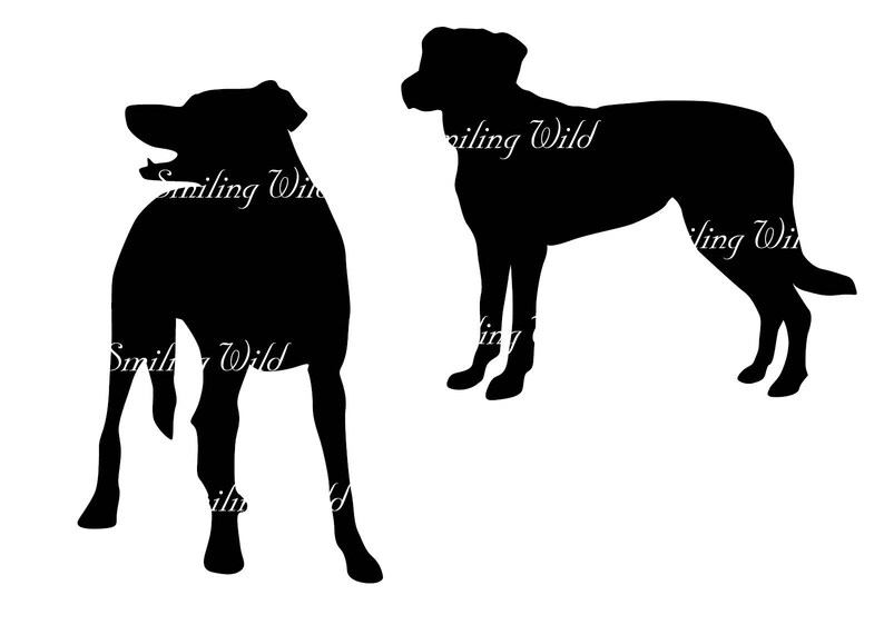 May include: Silhouettes of two dogs, one standing and one in a playful pose. Both dogs are black and are facing the right side of the image.