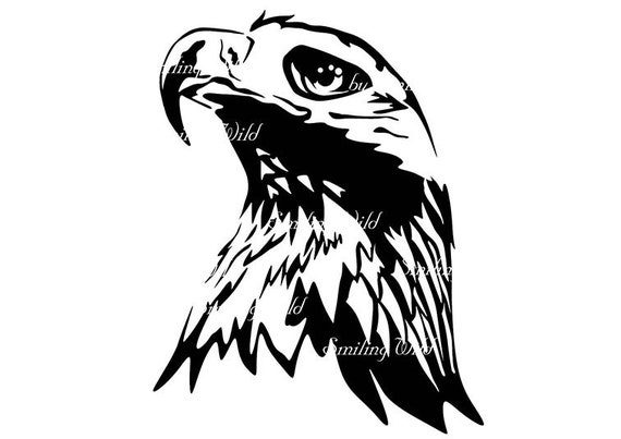 Golden Eagle Portrait Svg Vector Graphic Art Golden Eagle Face Etsy