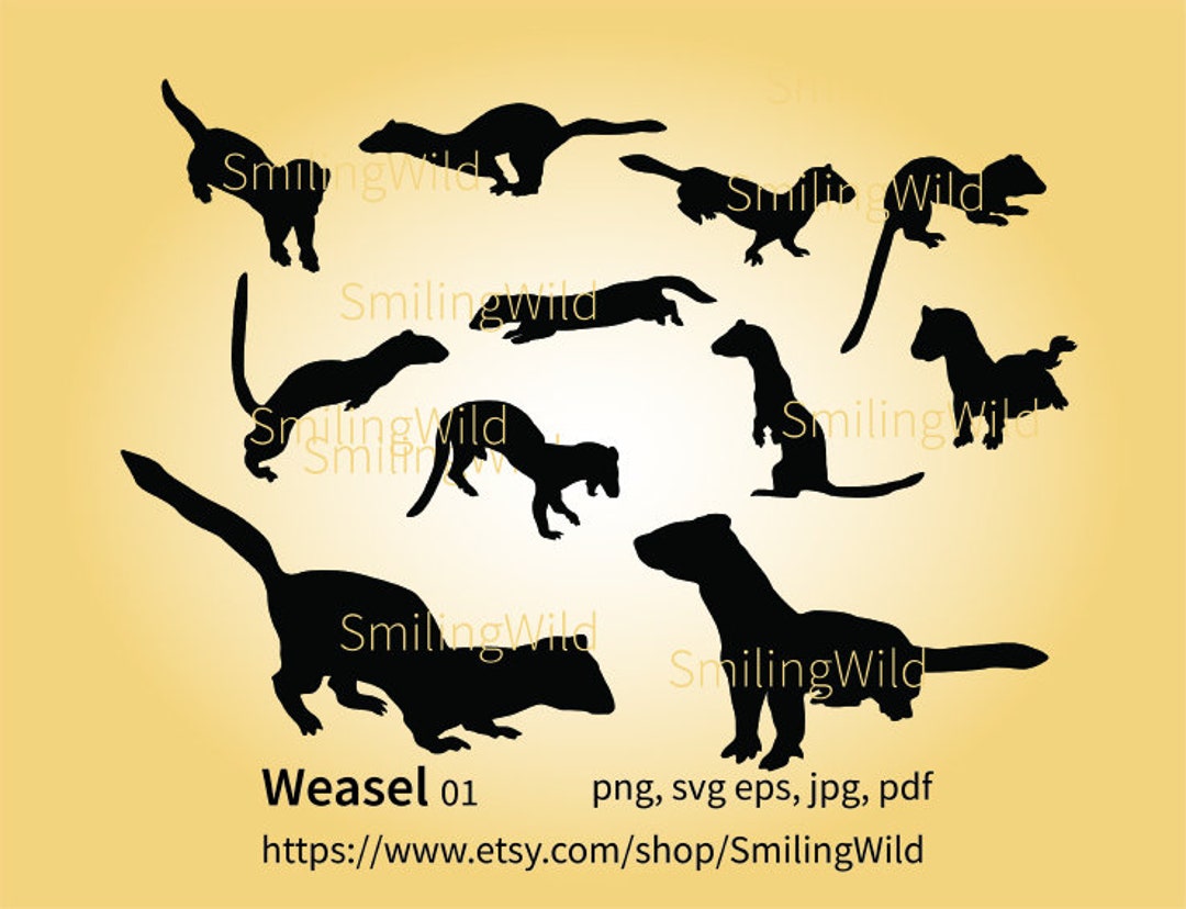 Weasel Silhouette Svg Cut File Cuttable Cricut Weasel Wild Animal Silhouette  Printable Vector Graphic Art Artwork Digital Design - Etsy Australia