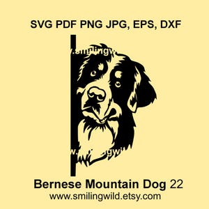 Süßer Berner Sennenhund schaut um die Ecke SVG & PNG, DXF, Vektor-Clipart-Datei - Handyhülle, Wandkunst - sofortiger Download