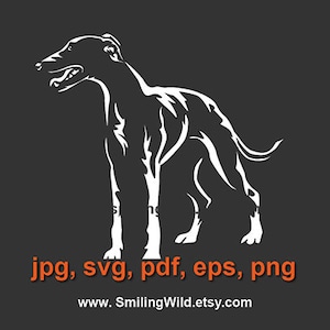 Grafica vettoriale di cane Whippet in formato SVG - Clipart di levriero in formato SVG con taglio laser e design digitale - Logo di cane Cricut tagliabile - Download immediato