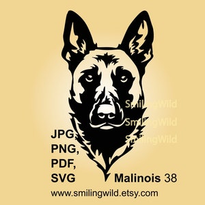 Retrato de Malinois svg cabeça de cachorro rosto impressão Malinois pastor belga vetor arte gráfica Malinois arquivo de corte Cricut design digital cortável