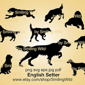 Englisch Setter geschnitten Datei Cricut Silhouette Jagd Hund schneidbar svg Vorstehhund Vektorgrafik Kunstwerk Digital Design