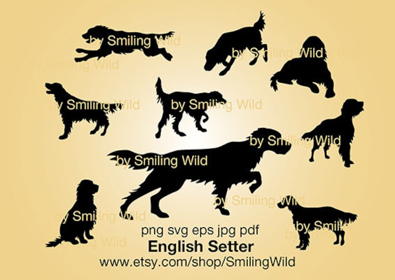May include: Silhouettes of eight English Setters in various poses, including running, standing, and sitting. The image is black and white and has a light brown background. The text "English Setter" is at the bottom of the image.