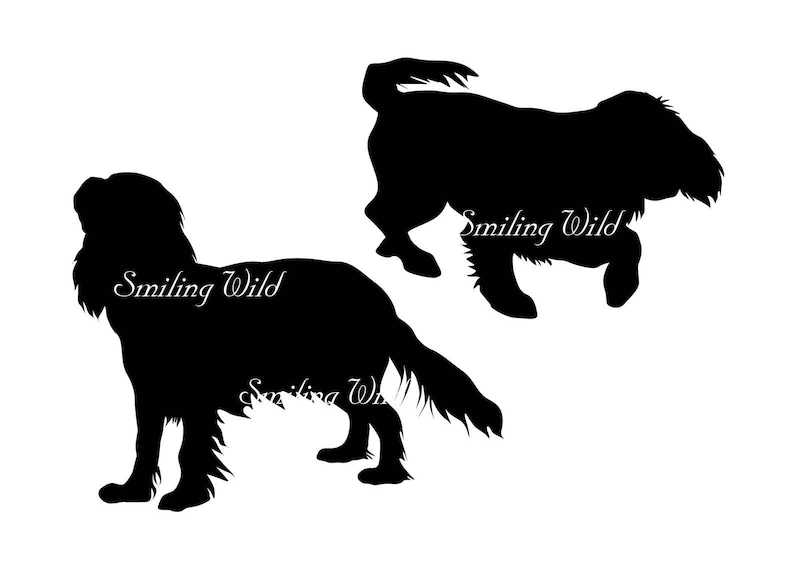 Cavalier King Charles Spaniel Svg Silhouette Clipart Cutout | Etsy