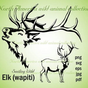 Elk svg wapiti clipart elk art vector graphic North America wild animal artwork printable cut file cuttable elk wapiti png portrait