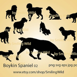Pacote de silhuetas SVG e PNG de cachorro Boykin Spaniel, clipart, cão de caça, corte cricut, sentado, arquivo de corte Boykin Spaniel, design digital