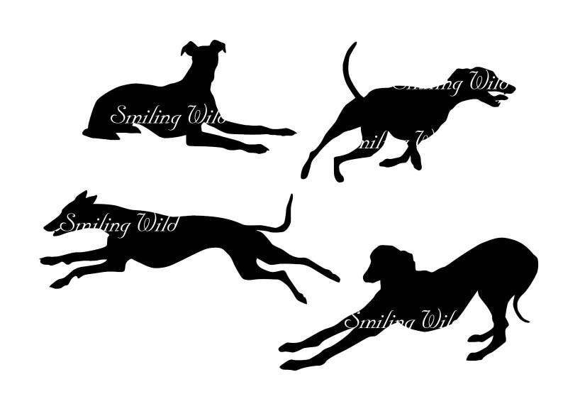 Whippet vector graphic art svg silhouette printable png | Etsy