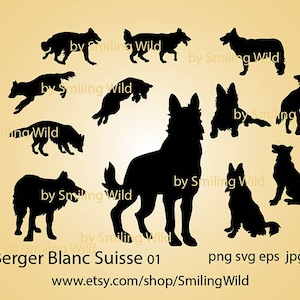 Berger Blanc Suisse svg silhouet vector grafische hond kunst, Zwitserse witte herder svg gesneden bestand Graveerbare cricut clipart digitaal