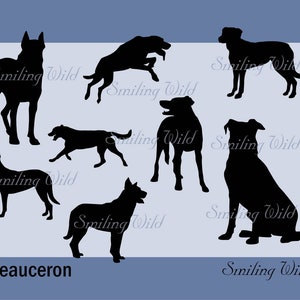May include: Silhouettes of seven Beauceron dogs in various poses, including standing, sitting, and running. The dogs are all black and are set against a light blue background.
