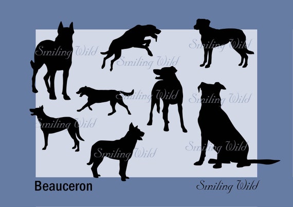 Beauceron Dog Silhouette Clipart Bundle: Cut File Art (SVG, PNG, EPS)