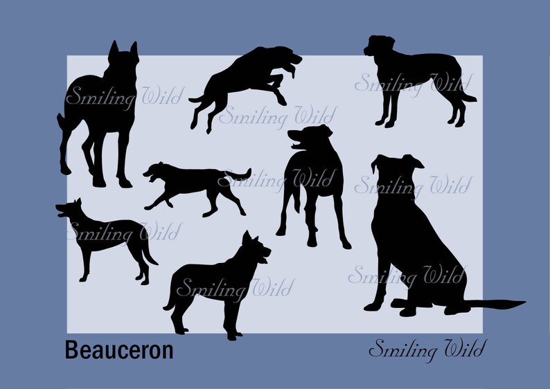 May include: Silhouettes of seven Beauceron dogs in various poses, including standing, sitting, and running. The dogs are all black and are set against a light blue background.