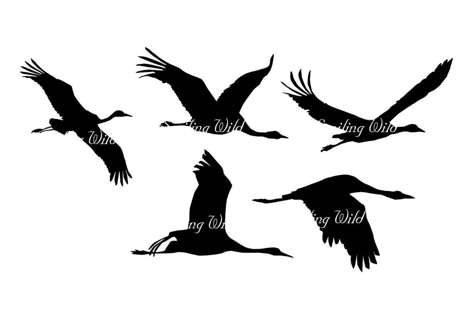Kranich Vogel svg Clipart Kranich Silhouette digital Vogel | Etsy