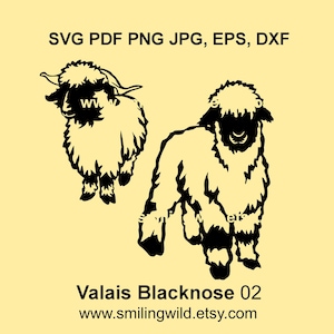 Pecora dal naso nero del Vallese SVG PNG DXF - Design digitale realistico di pecore e montoni - Grafica vettoriale, Fai da te, Cricut, Taglio laser, Incisione