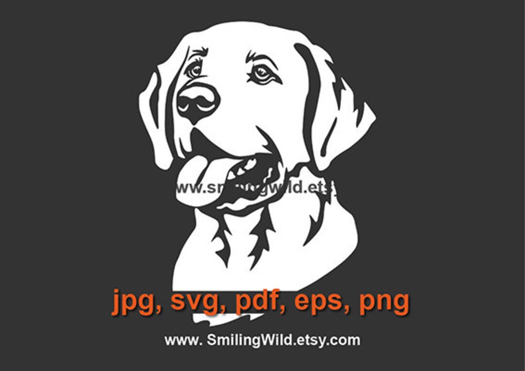 Labrador Retriever SVG PNG Portrait – White Dog Clip Art for Cricut and ...