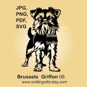 Griffon de Bruxelles svg clipart vectoriel design graphique